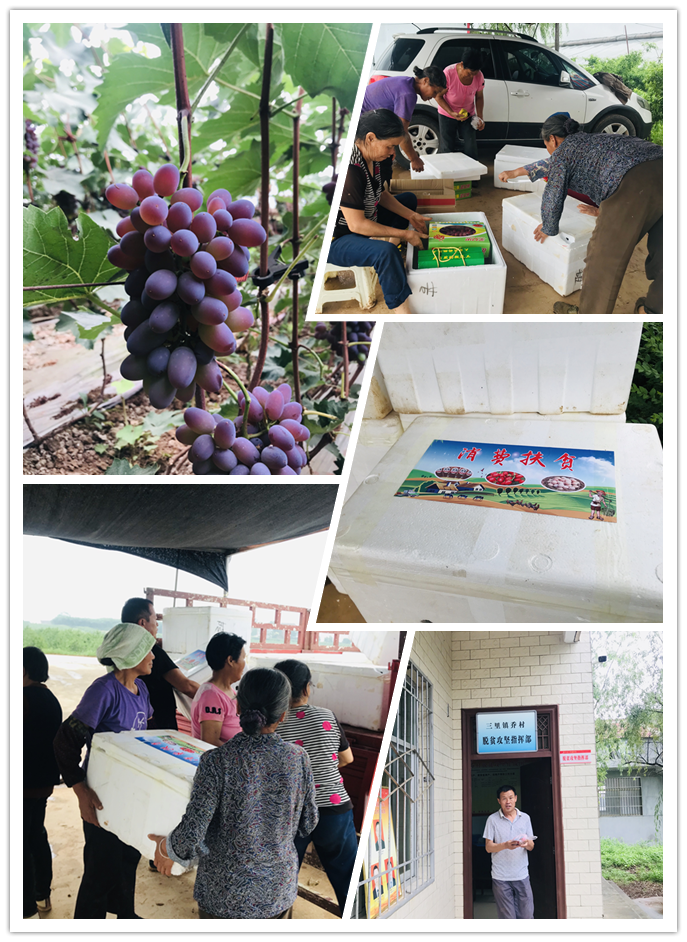 微信圖片_20201214152927.png